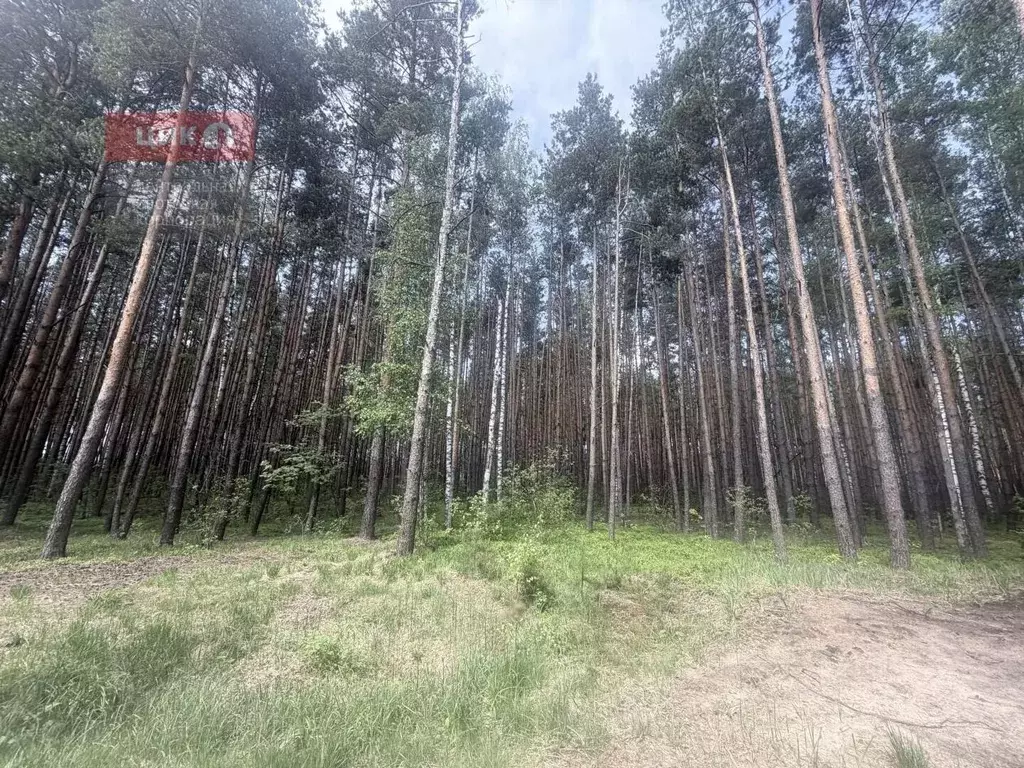 Участок в Рязанская область, Рязанский муниципальный округ, Заборье ... - Фото 1