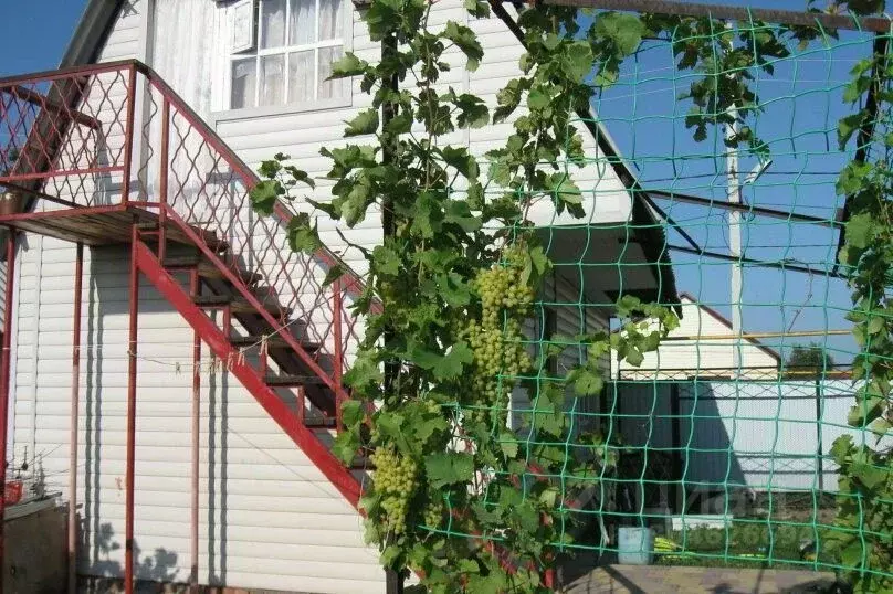 Дом в Оренбургская область, Соль-Илецк ул. Пушкина, 81 (20 м) - Фото 2
