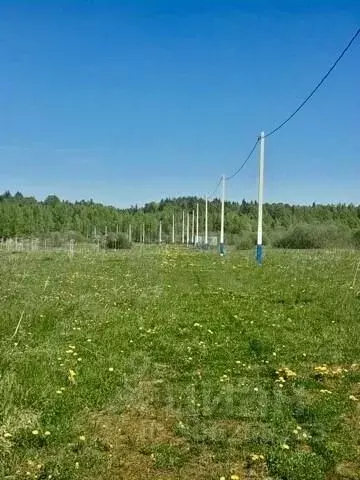 участок в московская область, клин городской округ, д. микляево 3 (8.0 . - Фото 0