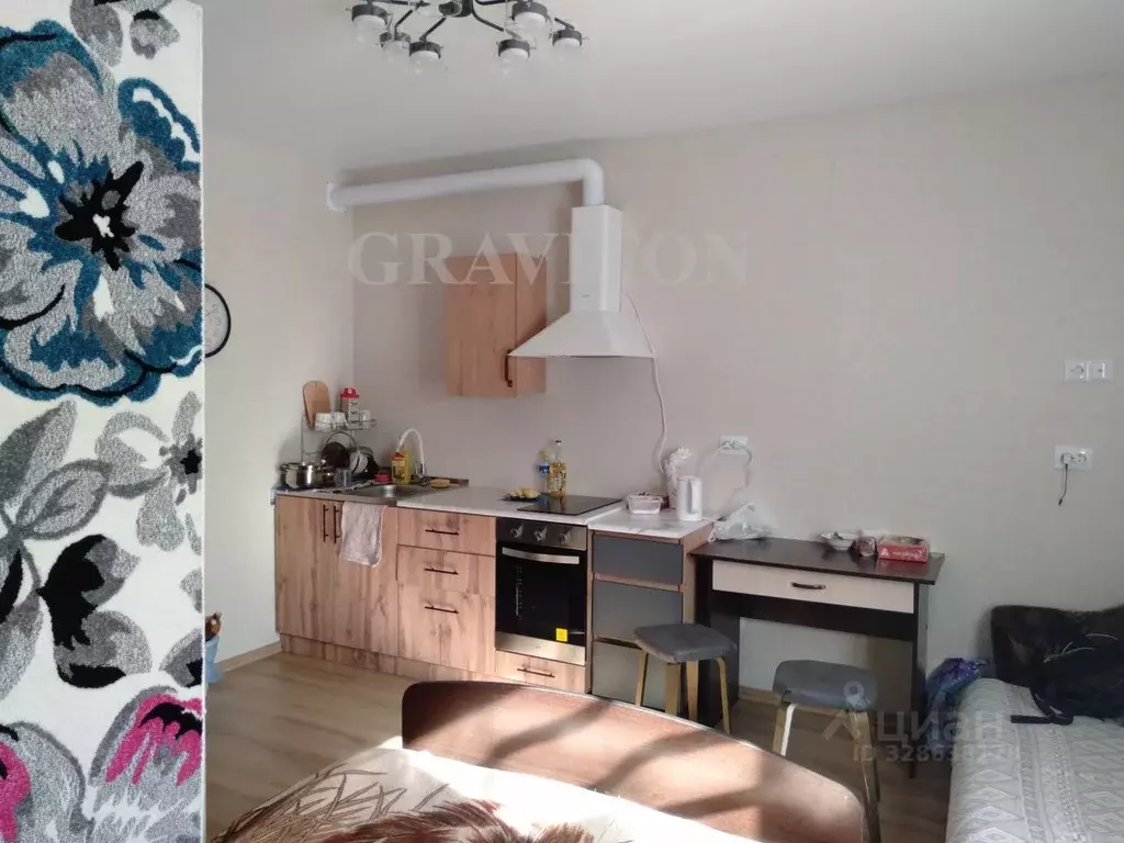 Студия Алтай, Майминский район, с. Майма Алтайская ул., 2Ж (24.0 м) - Фото 2