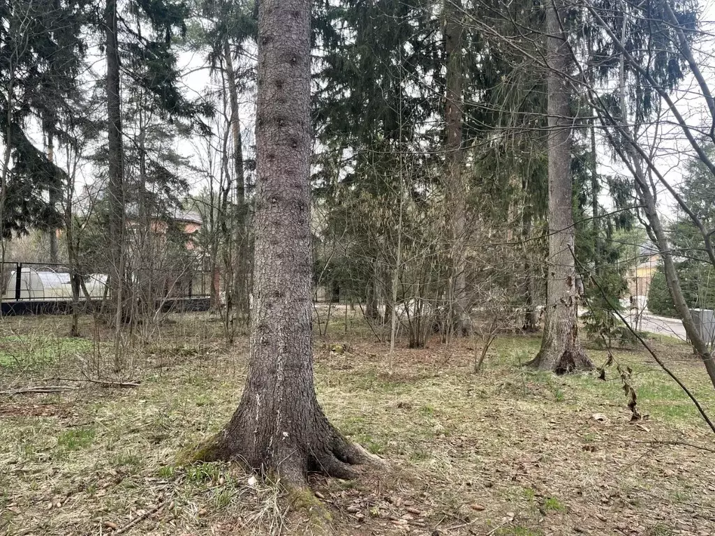 Участок в Московская область, Красногорск городской округ, пос. ... - Фото 0