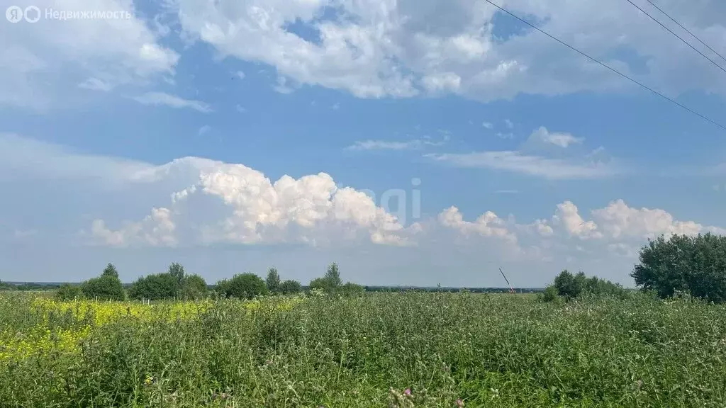 Участок в Медведевский район, Шойбулакское сельское поселение, деревня ... - Фото 0