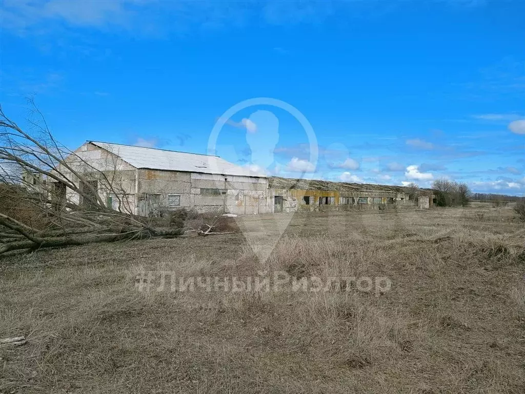Участок 47 сот. (СНТ, ДНП) - Фото 1
