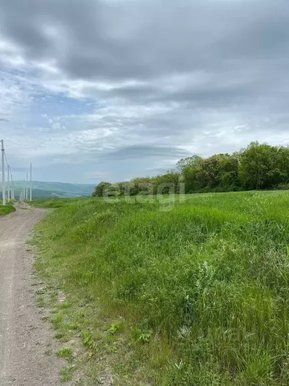 Участок в Краснодарский край, Новороссийск городской округ, ... - Фото 1