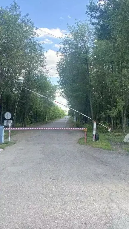 Участок в Оренбургская область, Оренбургский район, Красноуральский ... - Фото 2
