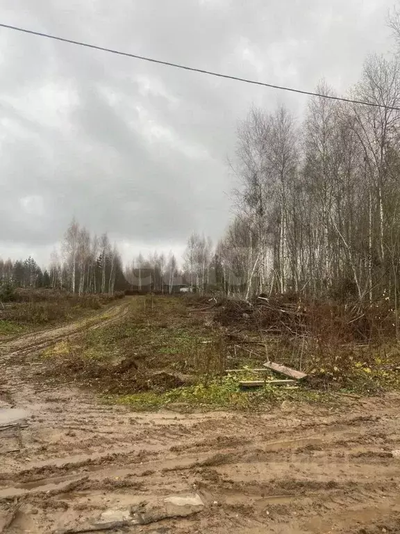 Участок в Калужская область, Калуга пер. Лесной (6.0 сот.) - Фото 2