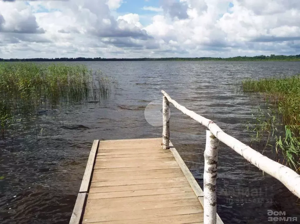 Участок в Псковская область, Плюсский муниципальный округ, д. ... - Фото 1