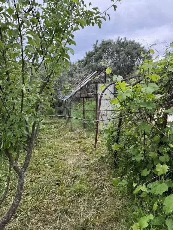 Участок в Кострома, садоводческое некоммерческое товарищество ... - Фото 0