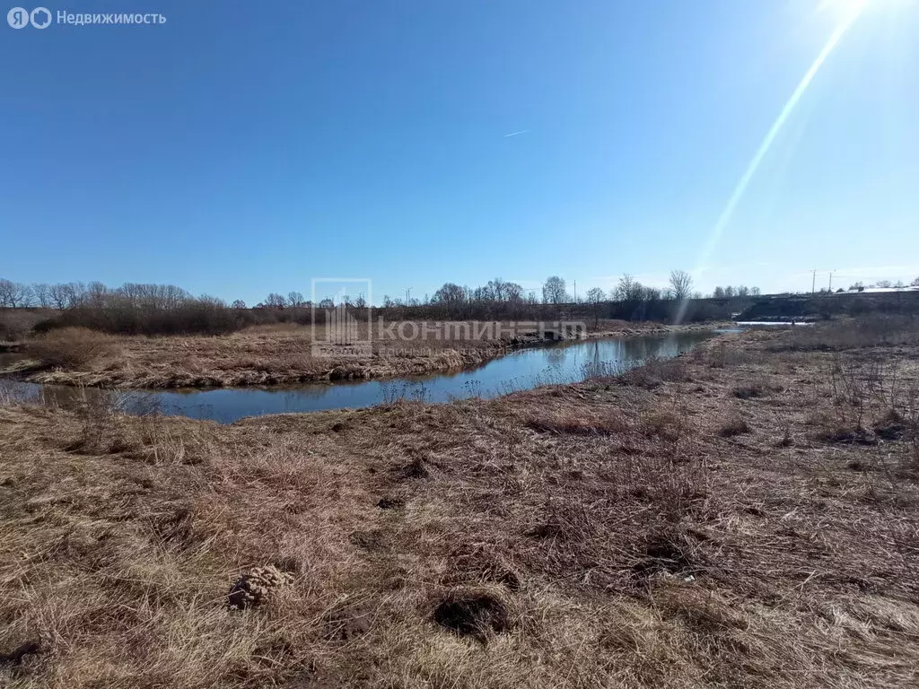 Участок в муниципальное образование Новосельское, деревня Погост (15 ... - Фото 2