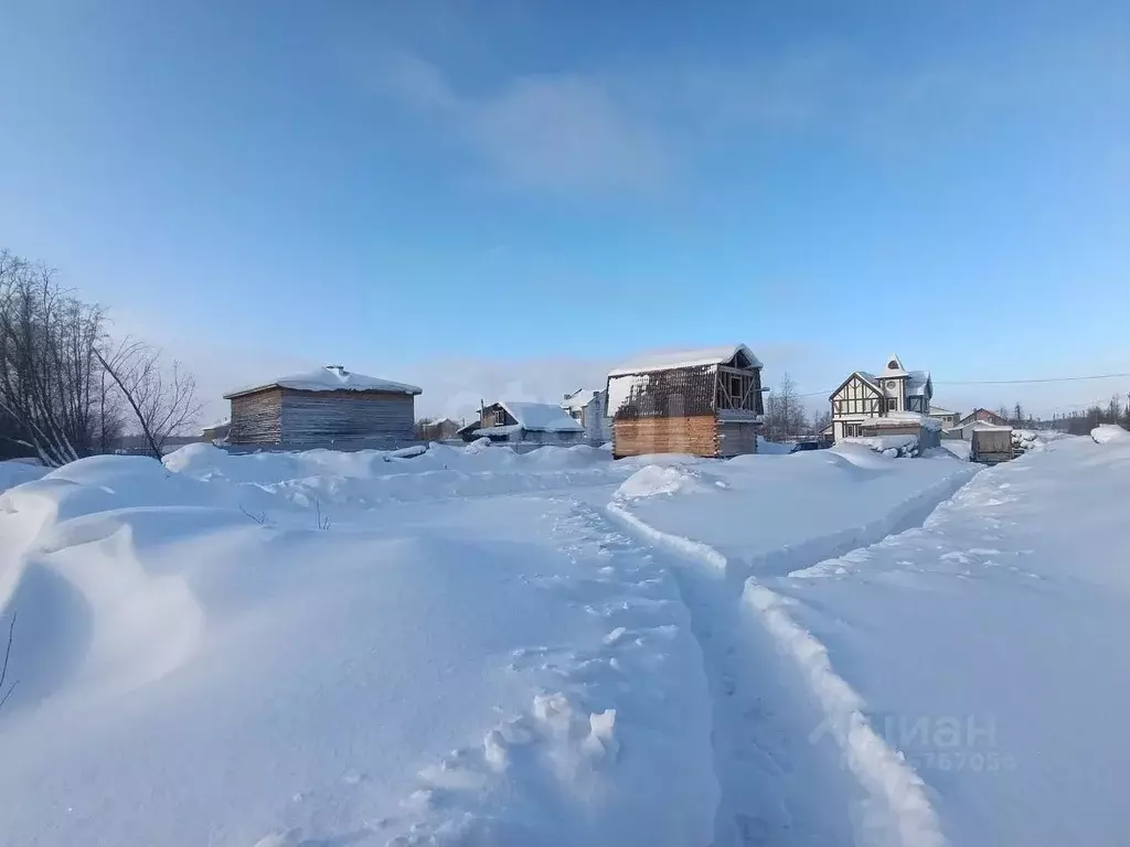 Участок в Архангельская область, Архангельск Лето коллектив ... - Фото 2