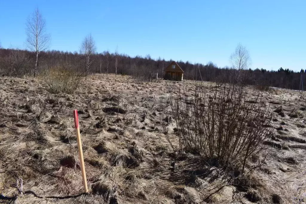 Участок в Ярославская область, Рыбинский муниципальный округ, д. ... - Фото 1