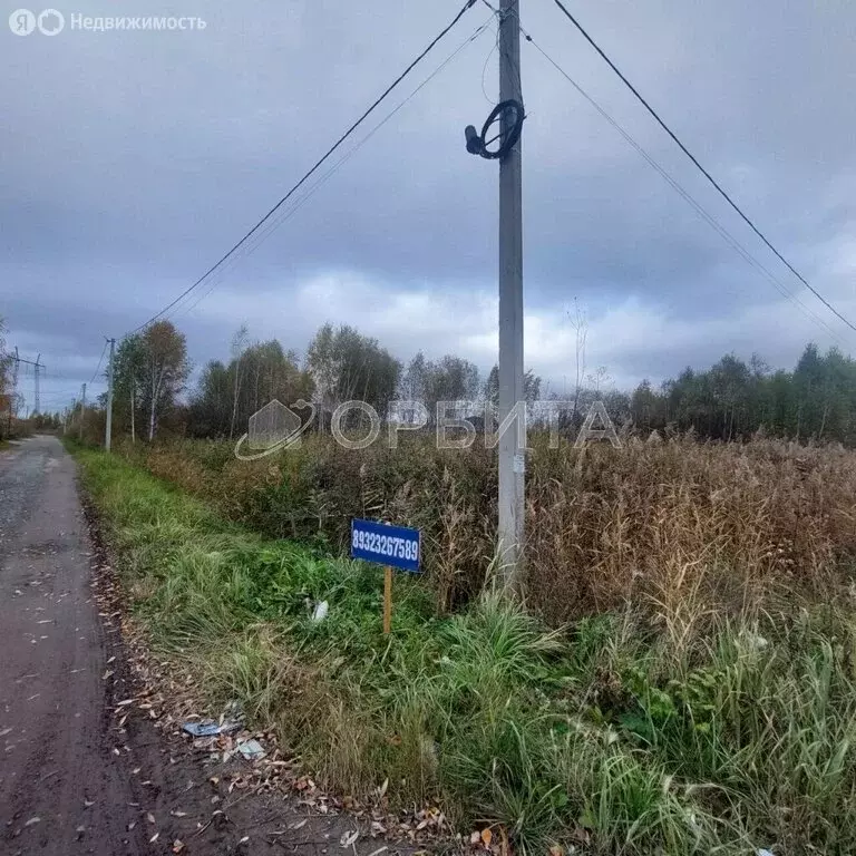 Участок в СНТ Березняки (5 м) - Фото 2