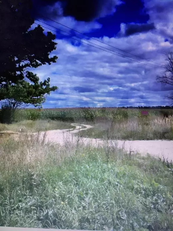 Участок в Рязанская область, Спасский муниципальный округ, Панинское ... - Фото 2