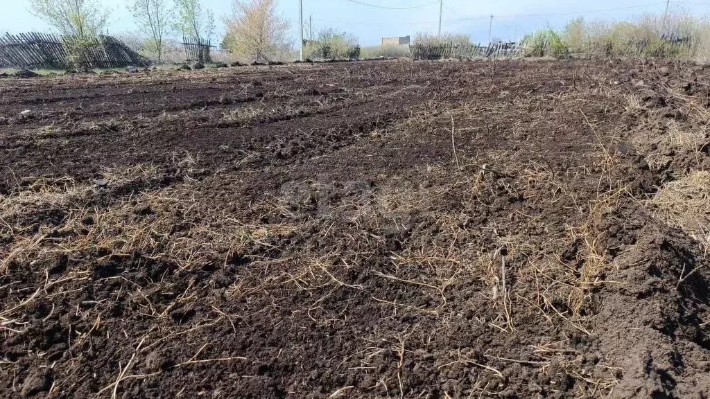 Участок в Оренбургская область, Оренбургский район, ... - Фото 1