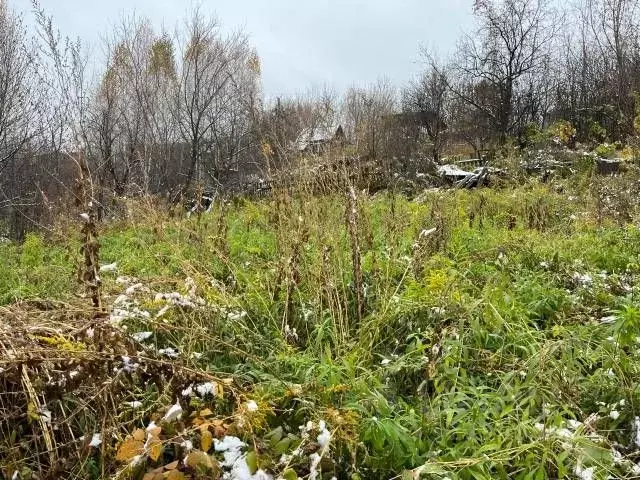 Участок в Алтайский край, Бийск Им. Мичурина СНТ, ул. Яровая (6.0 ... - Фото 2