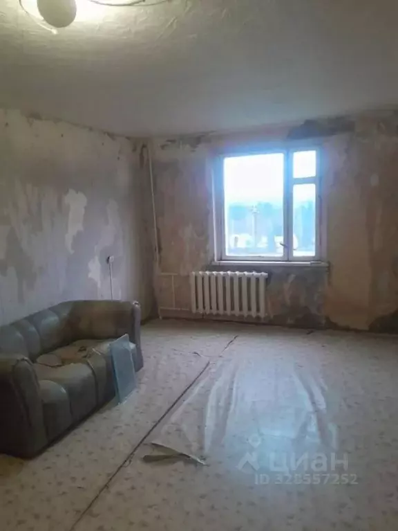 1-к кв. Костромская область, Буйский район, Чистые Боры городское ... - Фото 1