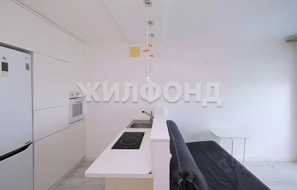1-к кв. Новосибирская область, Новосибирск Кубовая ул., 115/1 (20.8 м) - Фото 1