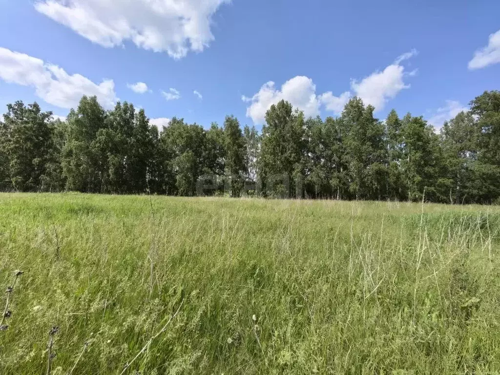 Участок в Новосибирская область, Новосибирский район, Морской ... - Фото 0