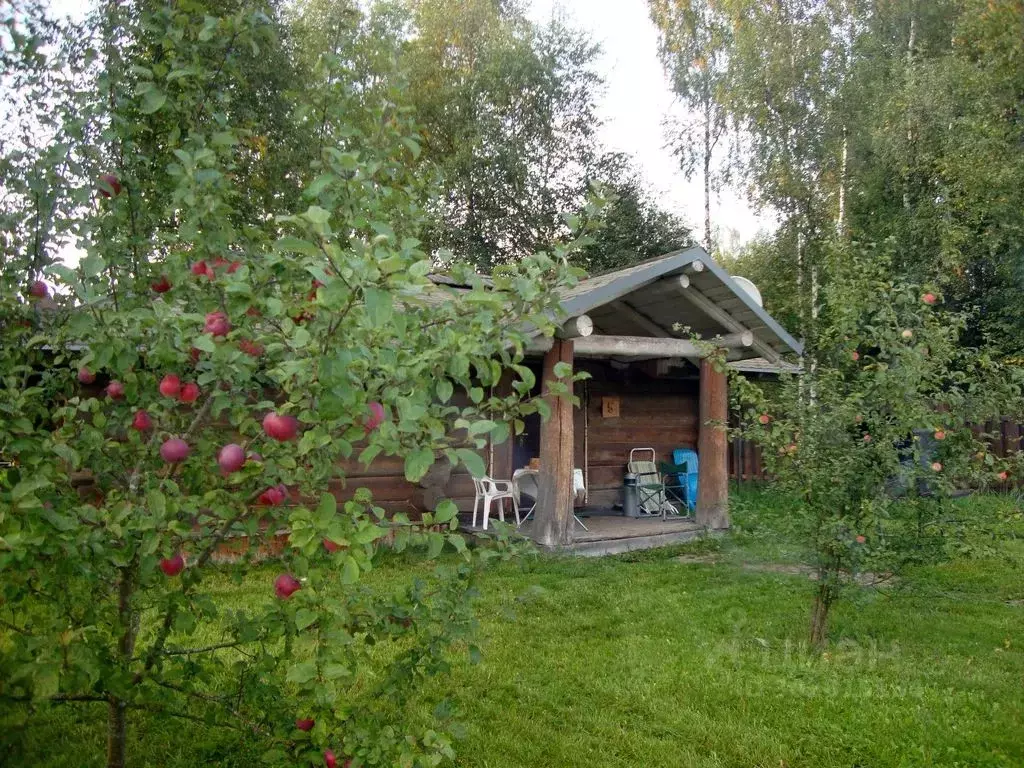 Дом в Московская область, Истра муниципальный округ, д. Духанино ул. ... - Фото 1