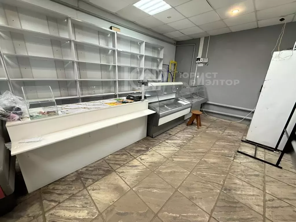 Торговая площадь в Воронежская область, Новоусманский район, с. ... - Фото 2