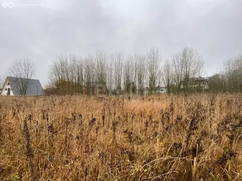 Участок в Оржицкое сельское поселение, ЗАО Спиринское (10.04 м) - Фото 2