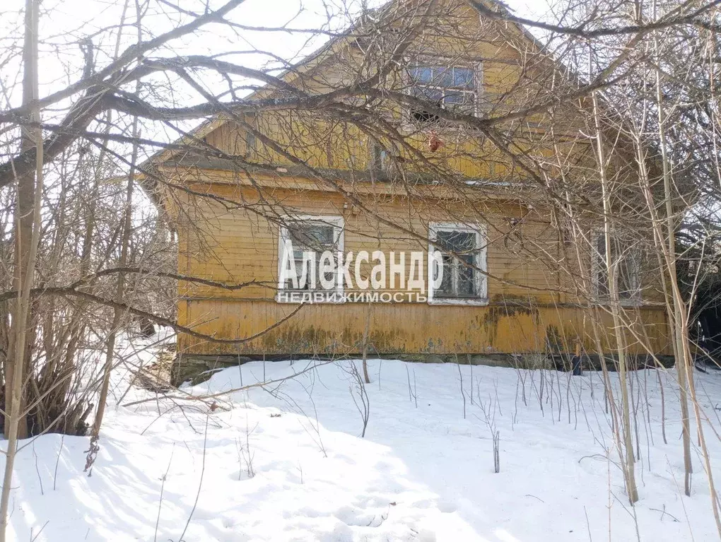 Участок в Санкт-Петербург пос. Александровская, ш. Волхонское, 55 ... - Фото 1