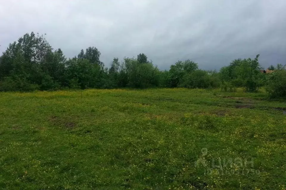 Участок в Омская область, Омский район, с. Дружино  (30.0 сот.) - Фото 0