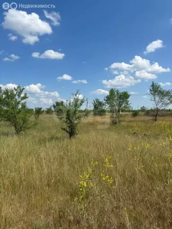 Участок в Зелёное, улица Жуковского (15 м) - Фото 1