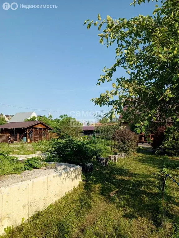 Участок в Белокуриха, Кольцевая улица, 2/1 (7 м) - Фото 2