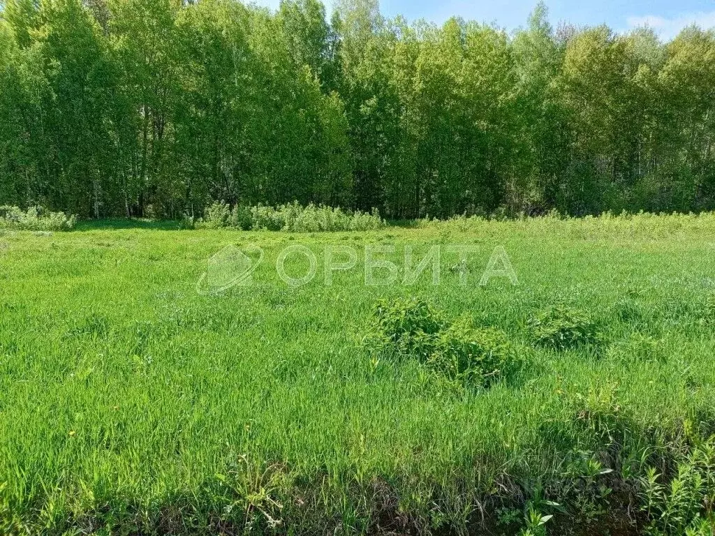 Участок в Тюменская область, Тюменский муниципальный округ, с. Кулига, ... - Фото 1