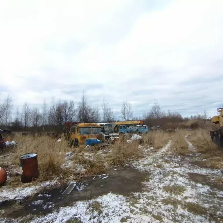 Участок в Костромская область, Ветлужский пгт ул. Труда, 59 (1409.0 ... - Фото 1