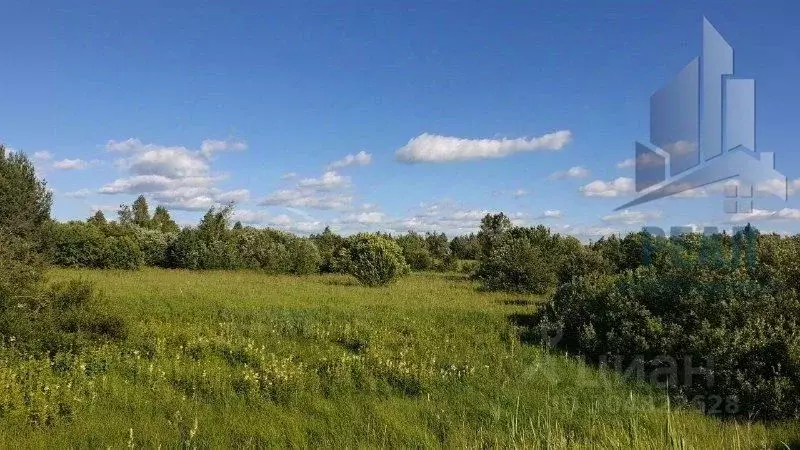 участок в нижегородская область, дальнеконстантиновский муниципальный . - Фото 0