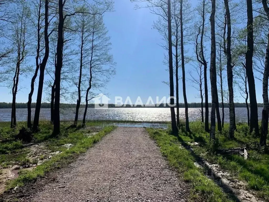 Участок в Ленинградская область, Выборгский район, Красносельское ... - Фото 1