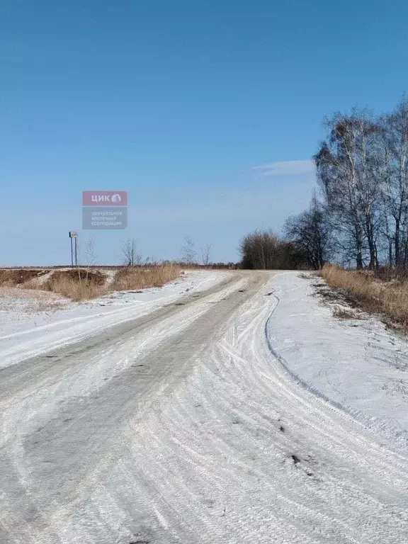 Участок в Рязанская область, Захаровский район, Безлыченское с/пос, д. ... - Фото 1