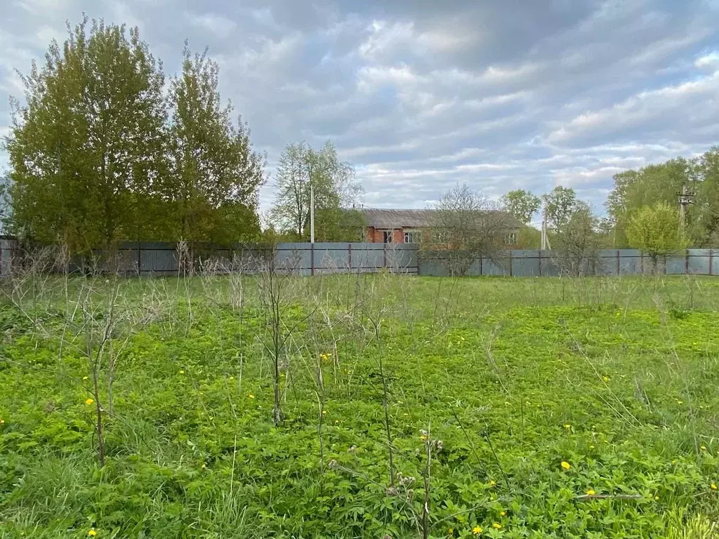 Участок в Московская область, Наро-Фоминский городской округ, д. ... - Фото 0