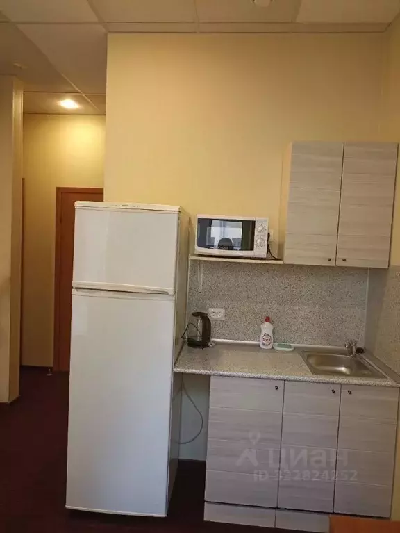 Студия Санкт-Петербург 6-я Красноармейская ул., 15 (25.0 м) - Фото 1