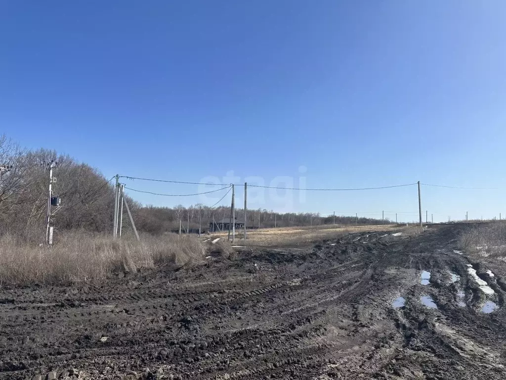 Участок в Белгородская область, Белгородский район, Дубовское с/пос, ... - Фото 2