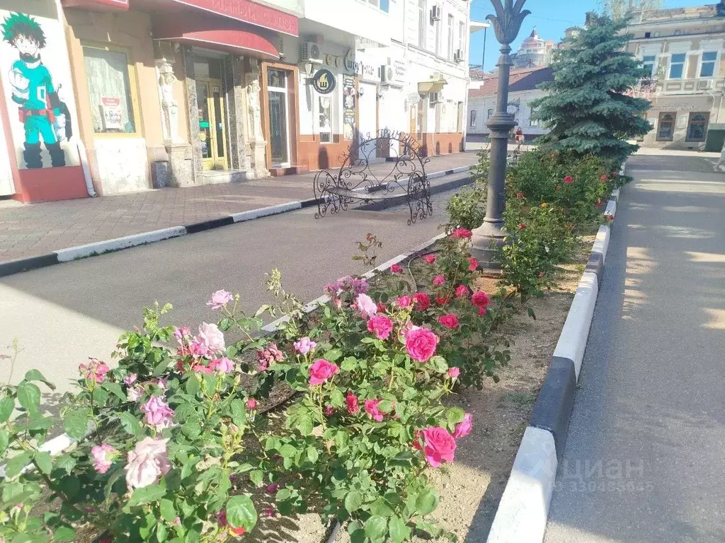 Участок в Крым, Феодосия ул. Земская, 7 (3.0 сот.) - Фото 2