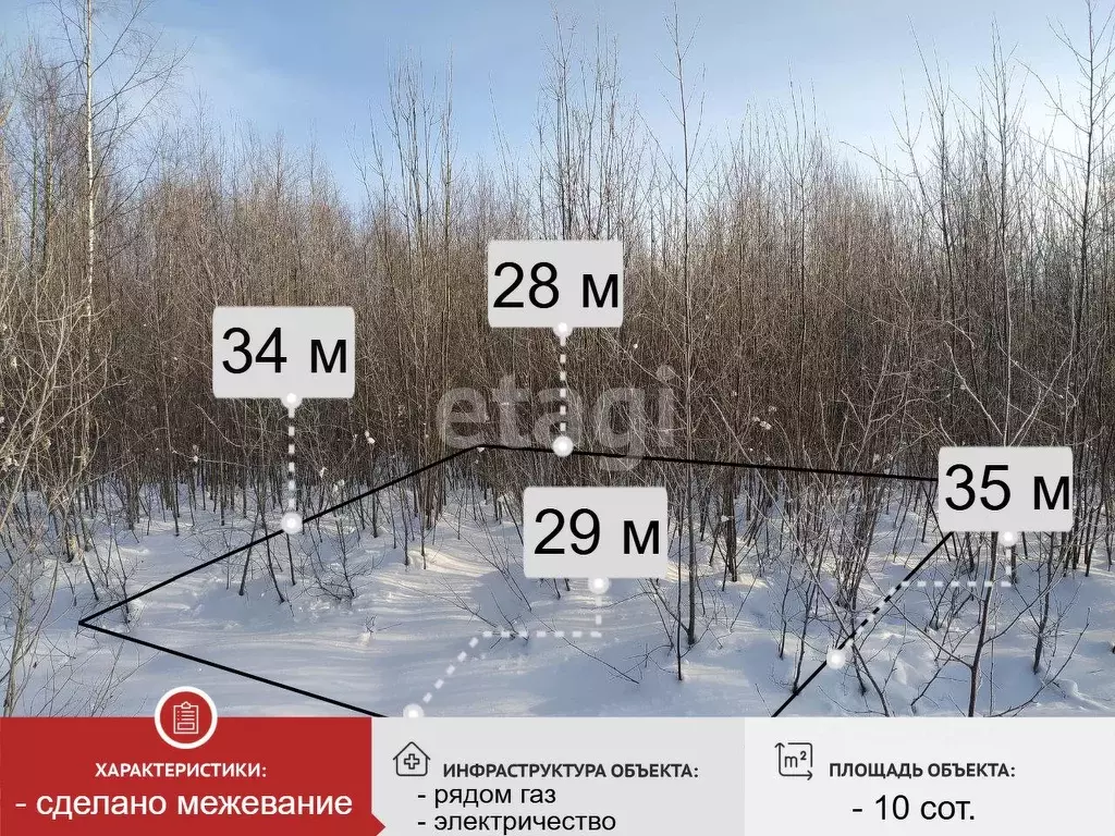 Участок в Вологодская область, Великоустюгский муниципальный округ, д. ... - Фото 1