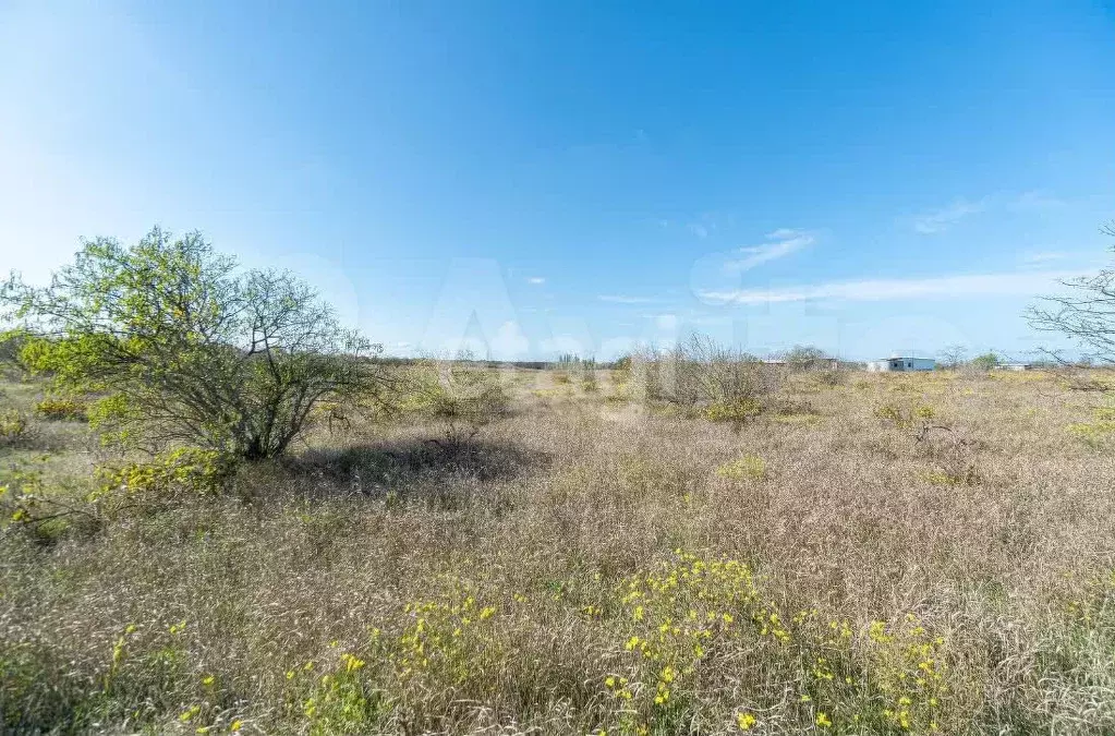 Участок 1,6 га (СНТ, ДНП) - Фото 1