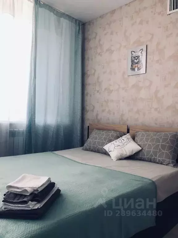 Студия Воронежская область, с. Новая Усмань ул. Полевая, 36А (27.0 м) - Фото 1