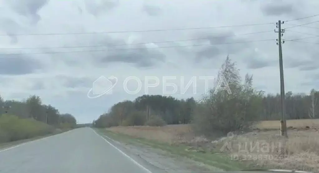 Участок в Свердловская область, Слободо-Туринский район, ... - Фото 2