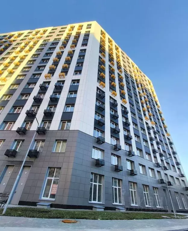1-к кв. Московская область, Красноармейск Пушкинский городской округ, ... - Фото 2