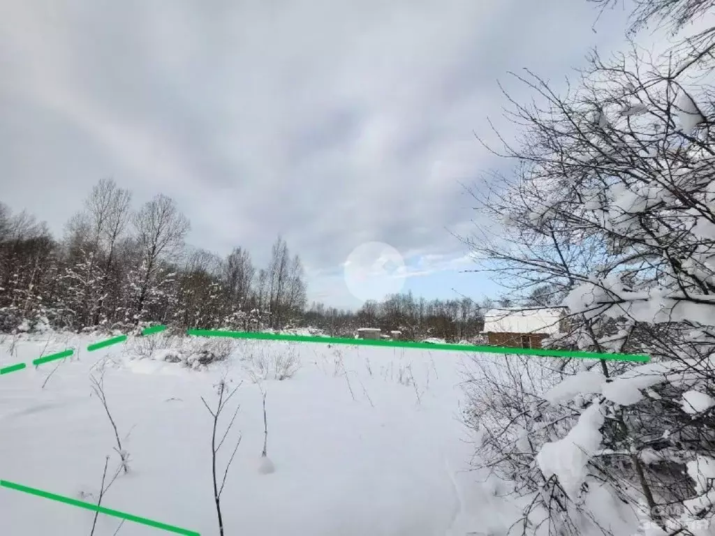 Участок в Новгородская область, Чудовский район, Трегубовское с/пос, ... - Фото 1