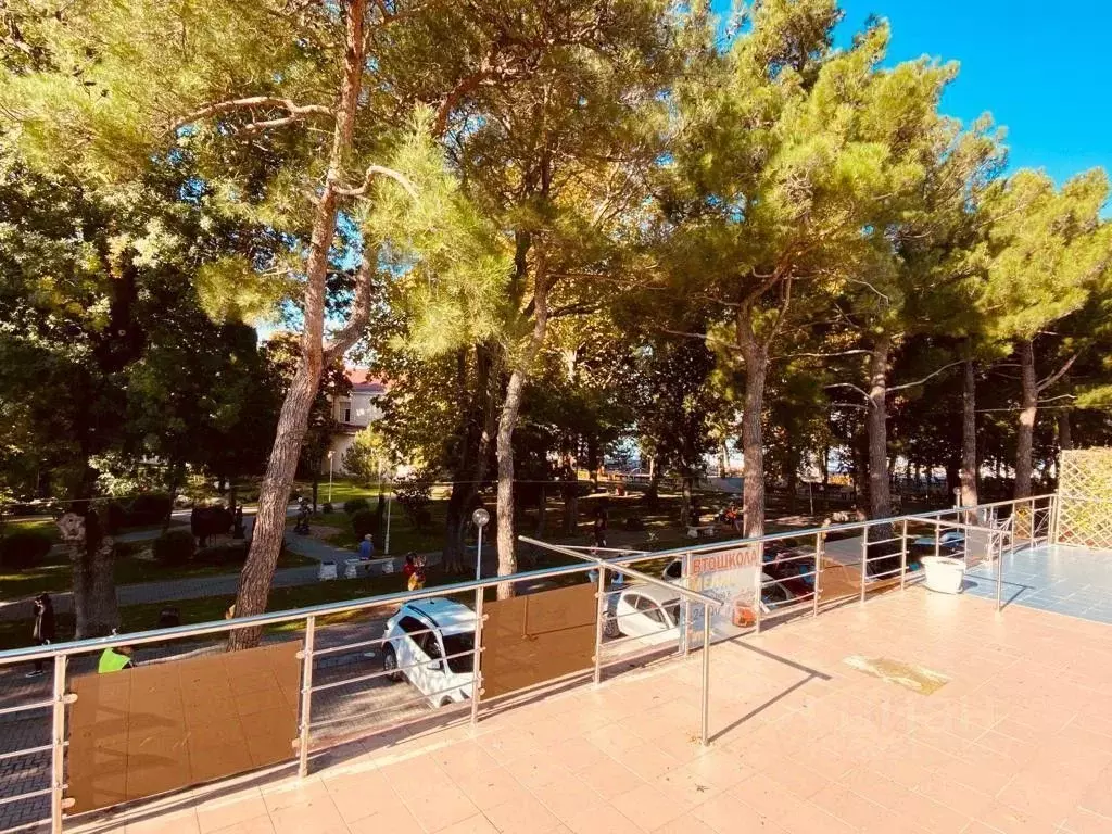 Помещение свободного назначения в Краснодарский край, Геленджик ... - Фото 2