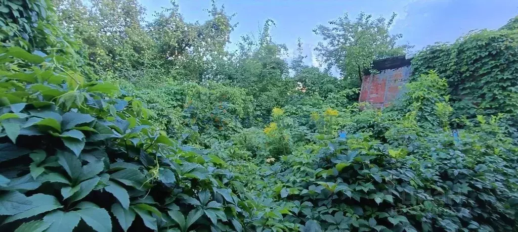 Участок в Нижегородская область, Нижний Новгород Казанское ш. (4.77 ... - Фото 2