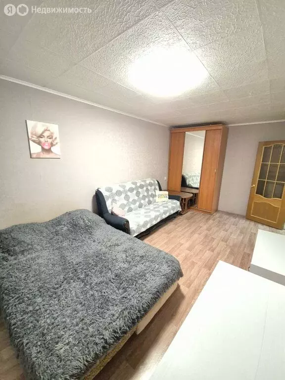 1-комнатная квартира: Ярославль, улица Панина, 41к2 (29.9 м) - Фото 0