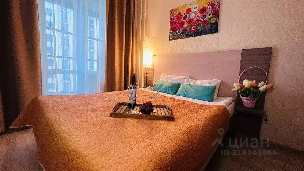 1-к кв. Санкт-Петербург Пулковское ш., 14Е (29.0 м) - Фото 0