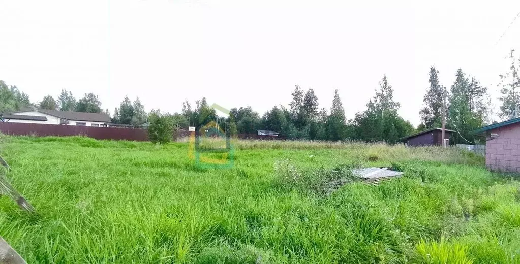 Участок в Ленинградская область, Приозерский район, Красноозерное ... - Фото 0