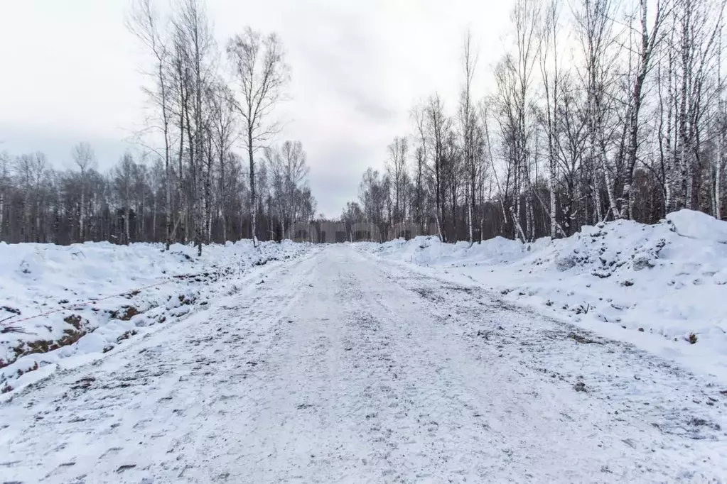 Участок в Тюменская область, Тобольск ул. Солнечная (992.0 сот.) - Фото 2